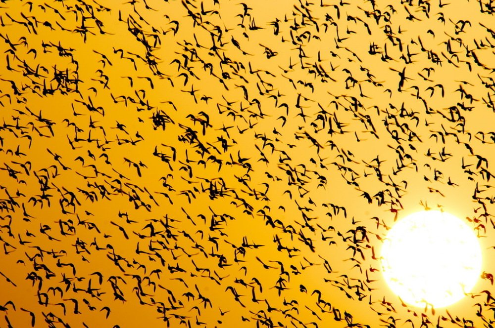 Photograph by Lev Prilutsky