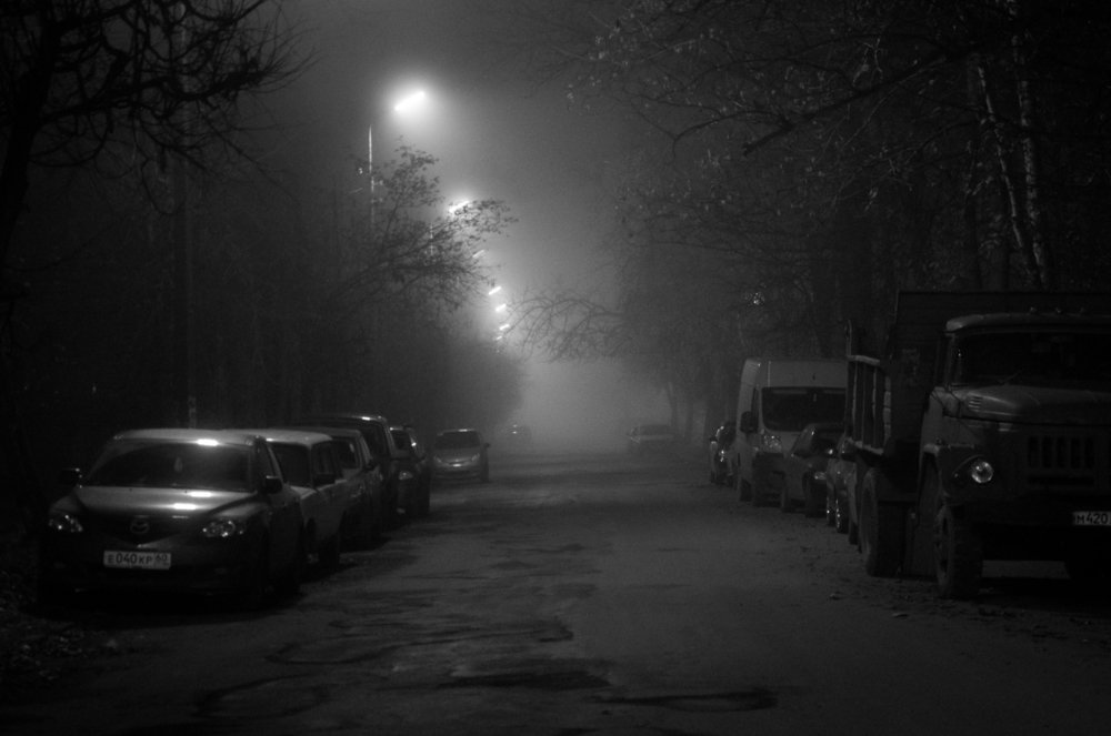 Photograph by Roman Dmitriev