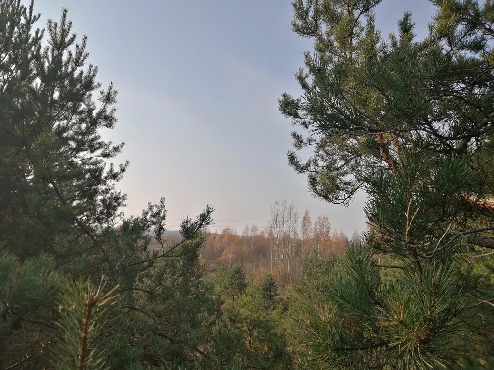 Фотография автора Оля Юхновец