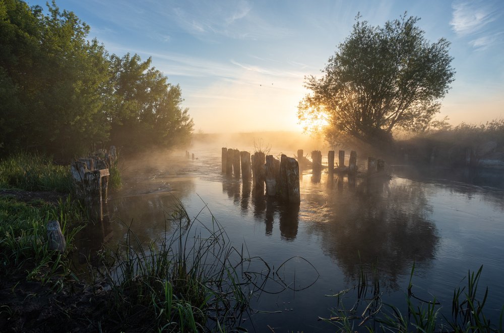 Photograph by Александр Бредихин