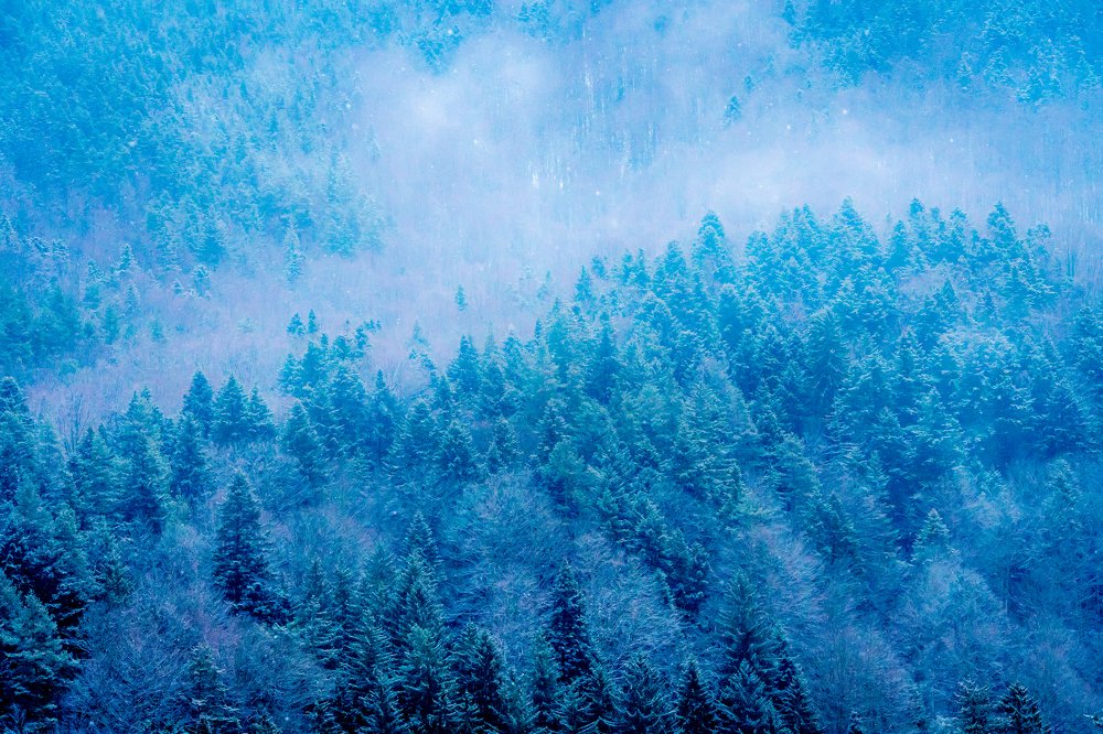 Фотография автора Cornelia Ghergut