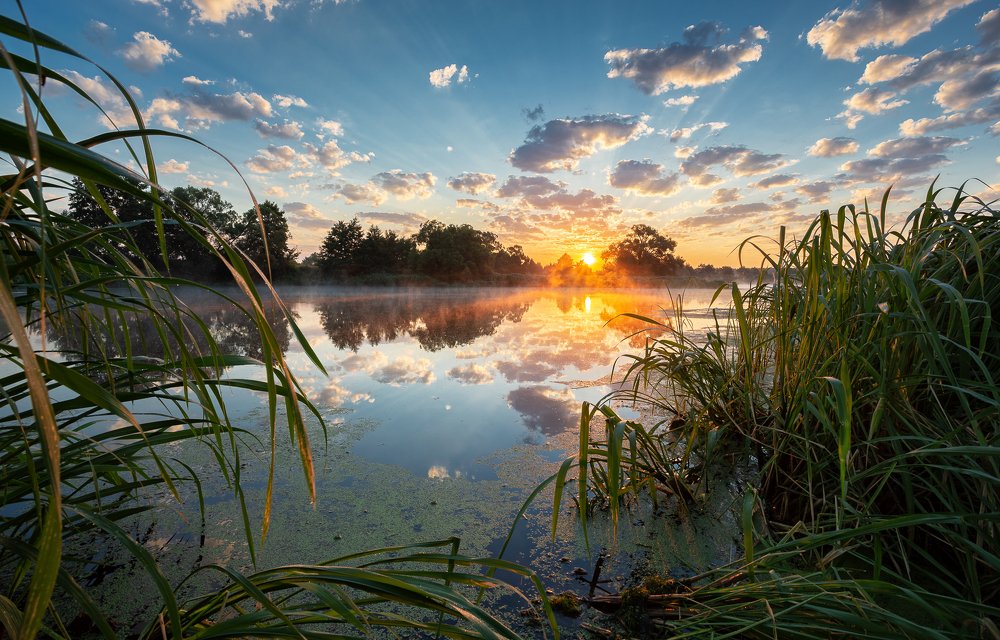 Солнечное утро июня