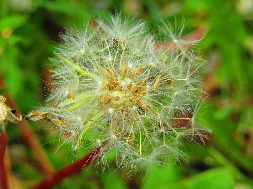 Photograph by Darko Milojevic