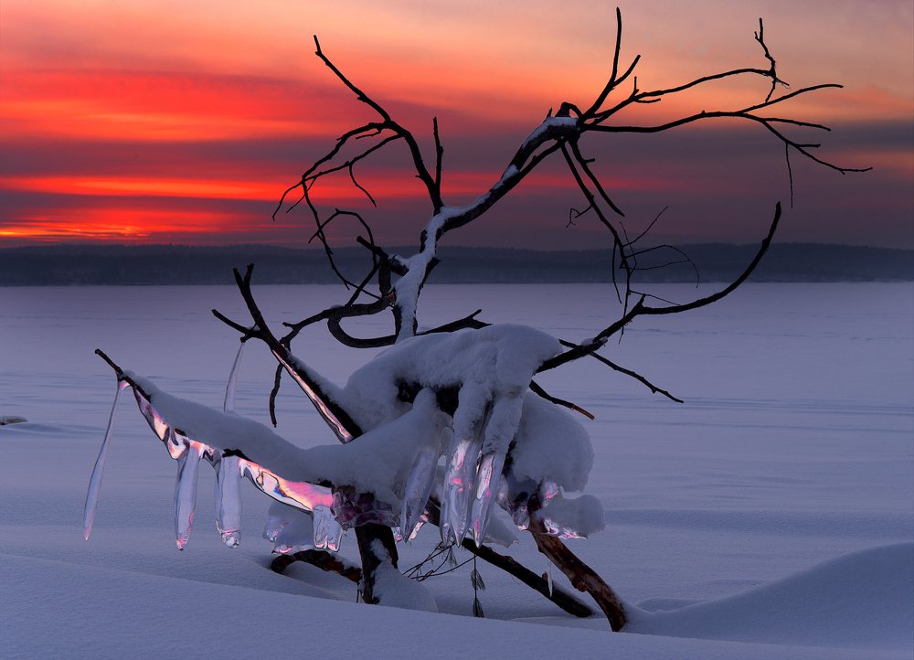 Photograph by Алексей Кулаков