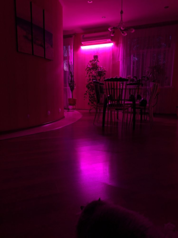 Photograph by Владимир Лищук