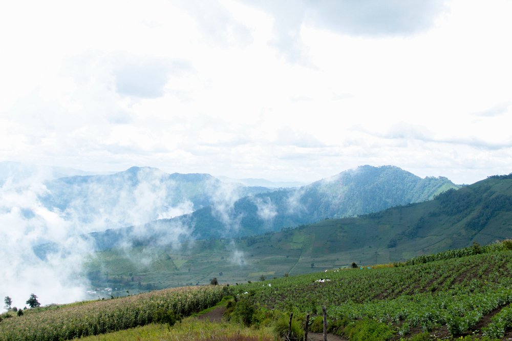 Faldas Volcan Acatenango, Guatemala