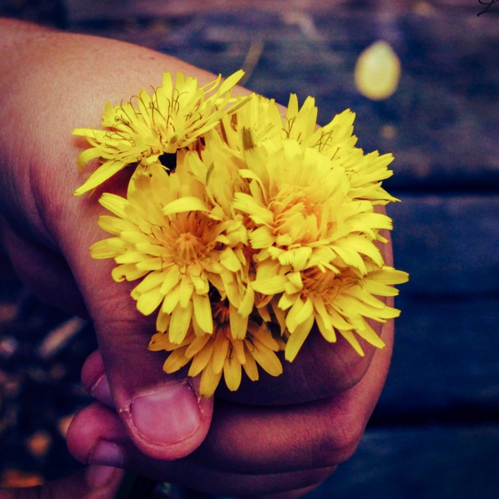 Photograph by luca palombelli