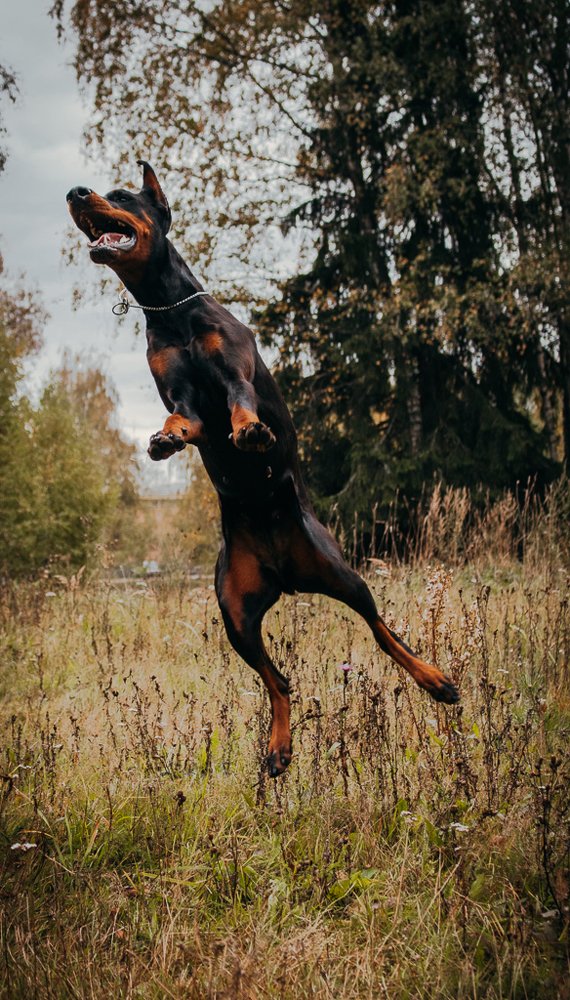 Photograph by Юлия