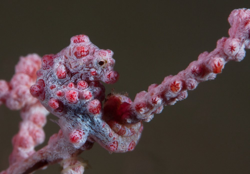 Photograph by Илья Козырев