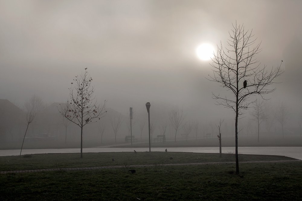 Photograph by Юрий Крилівець