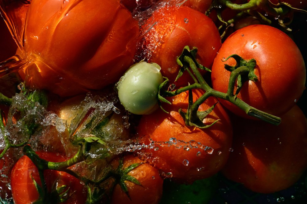 Photograph by Rimma Volchenko