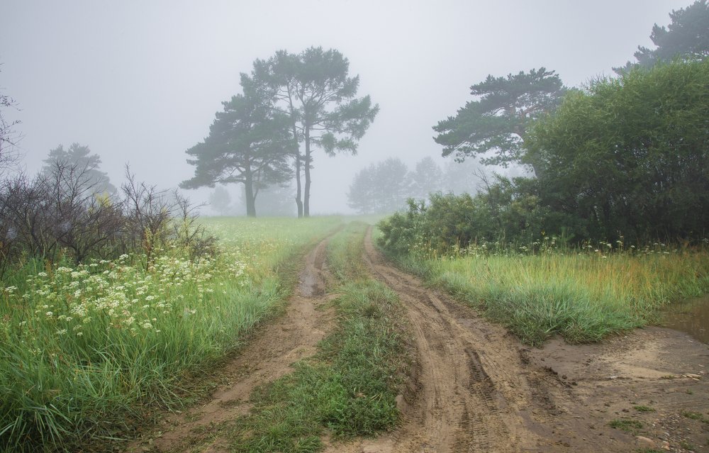 Photograph by Дарья Молчанова