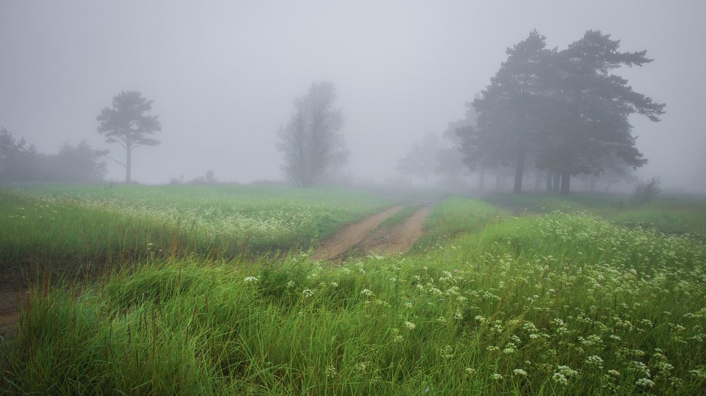 Photograph by Дарья Молчанова