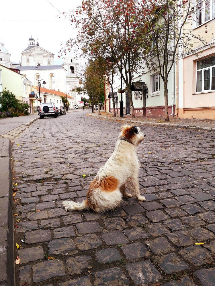 Photograph by Helen Seleznova