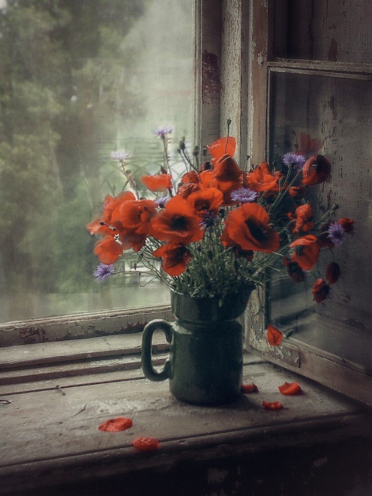 Photograph by Aleksandr Barsukov