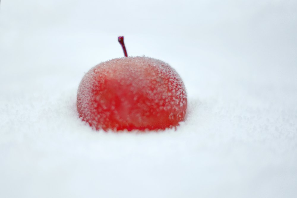 Яблоки на снегу