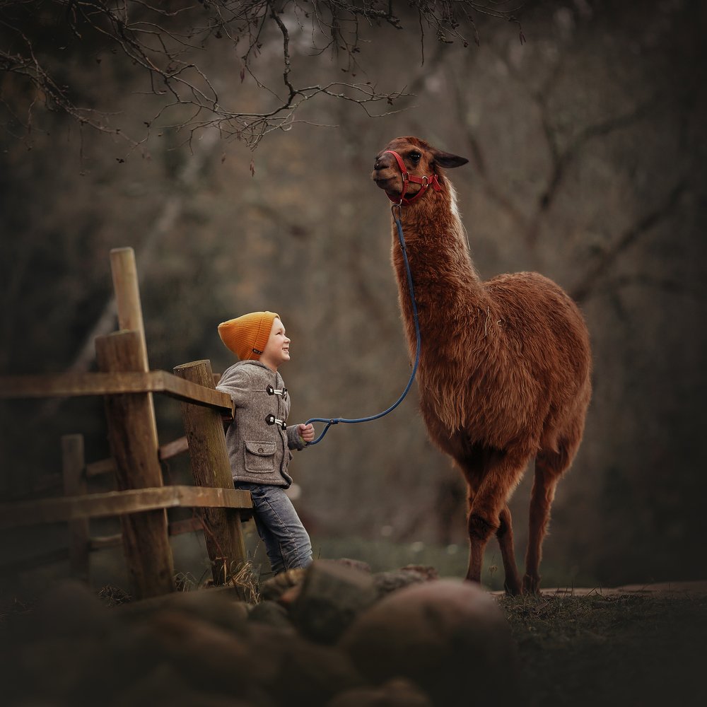 Photograph by Алла Семченко