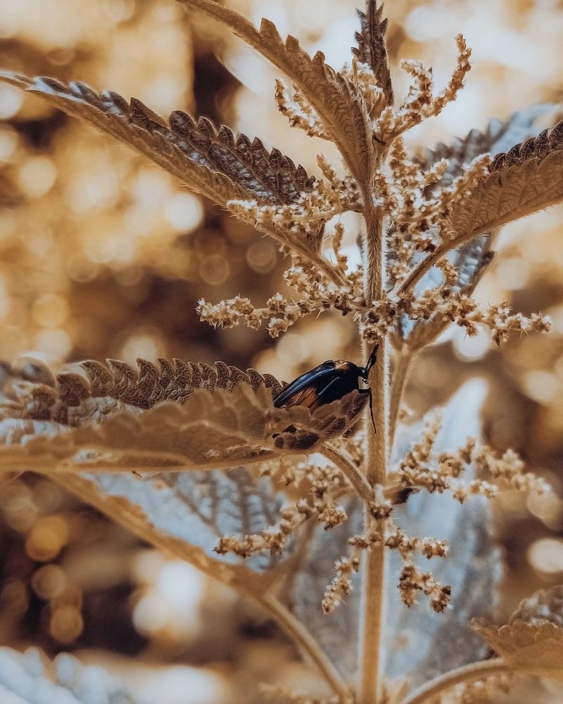 Photograph by Кристина Полунина