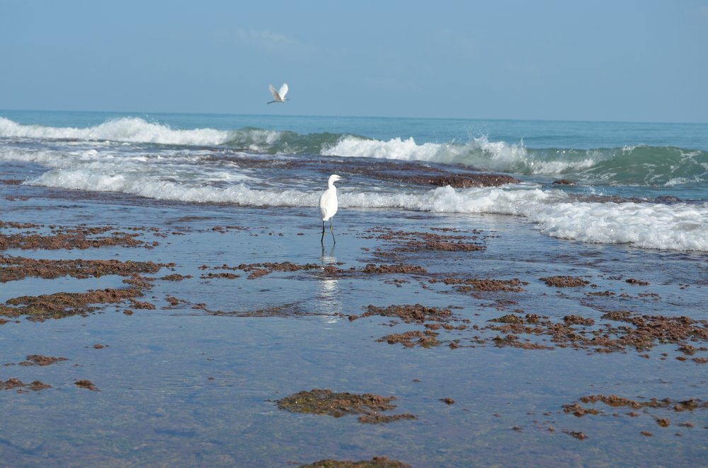 Photograph by Екатерина Максименко