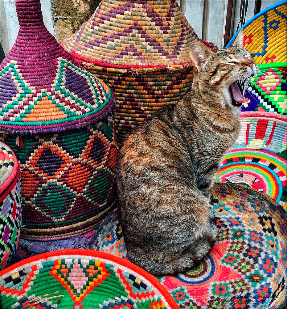 Photograph by Александр Леснянский