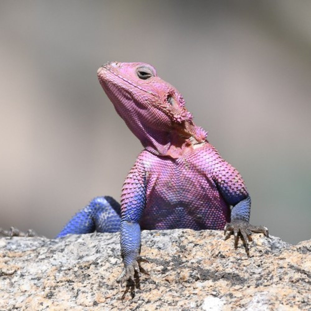 Photograph by Lev Prilutsky