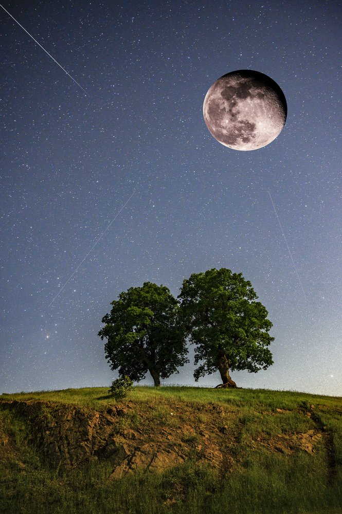 Photograph by Rawezh Osman