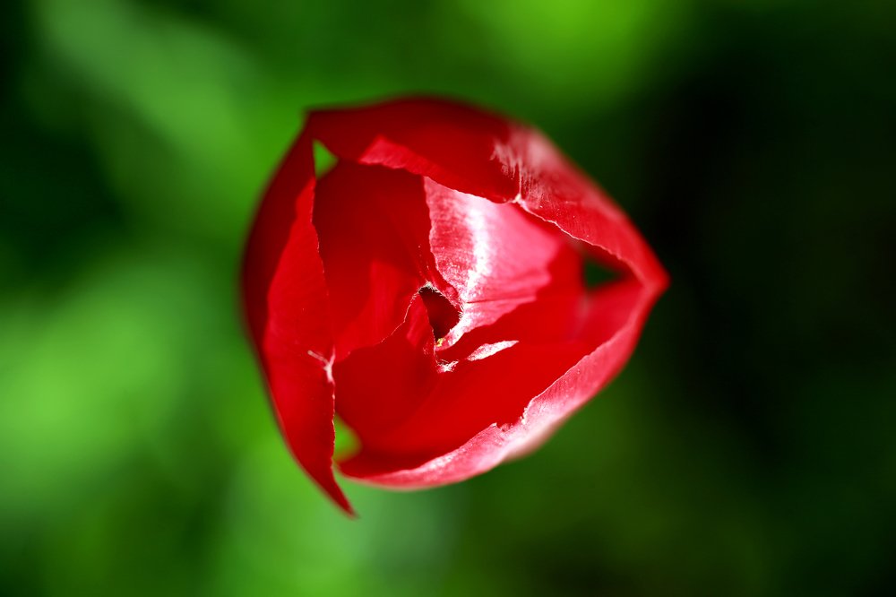 Photograph by Александр Цабель