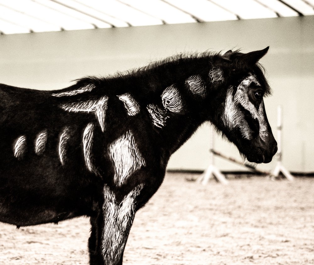 Photograph by Luka Mitrovic