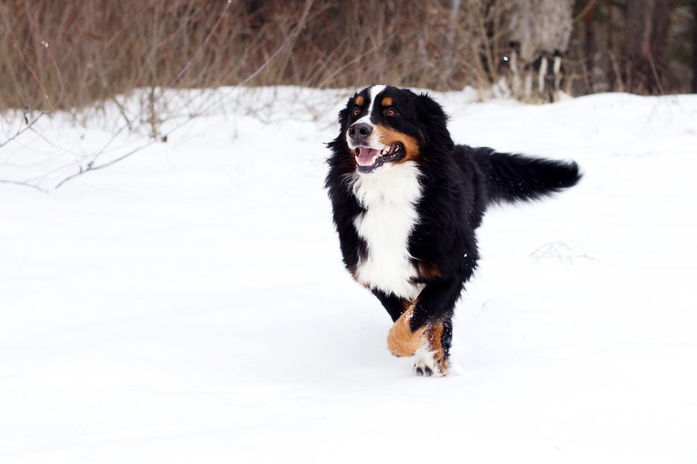 Photograph by Киркиш Ирина