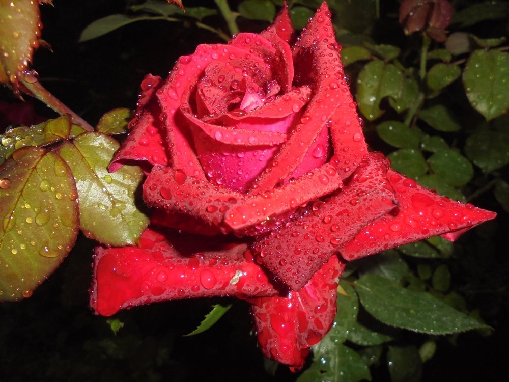 Photograph by Лилия Исхакова