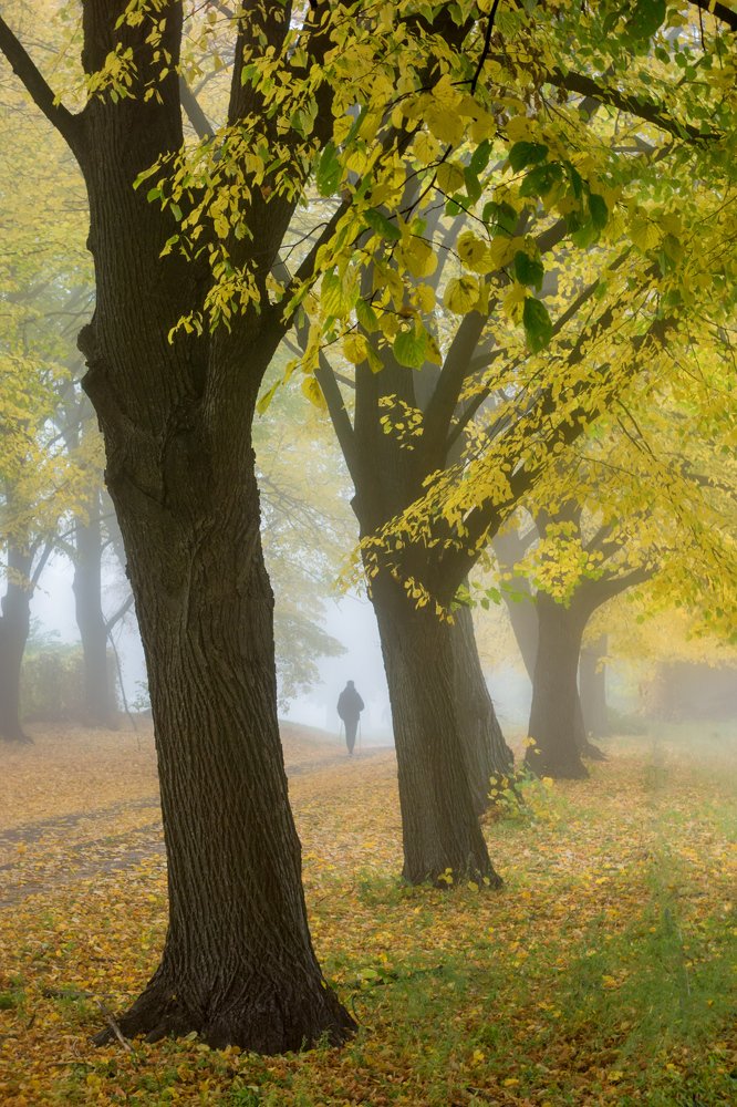 Photograph by Aнтон Кононов