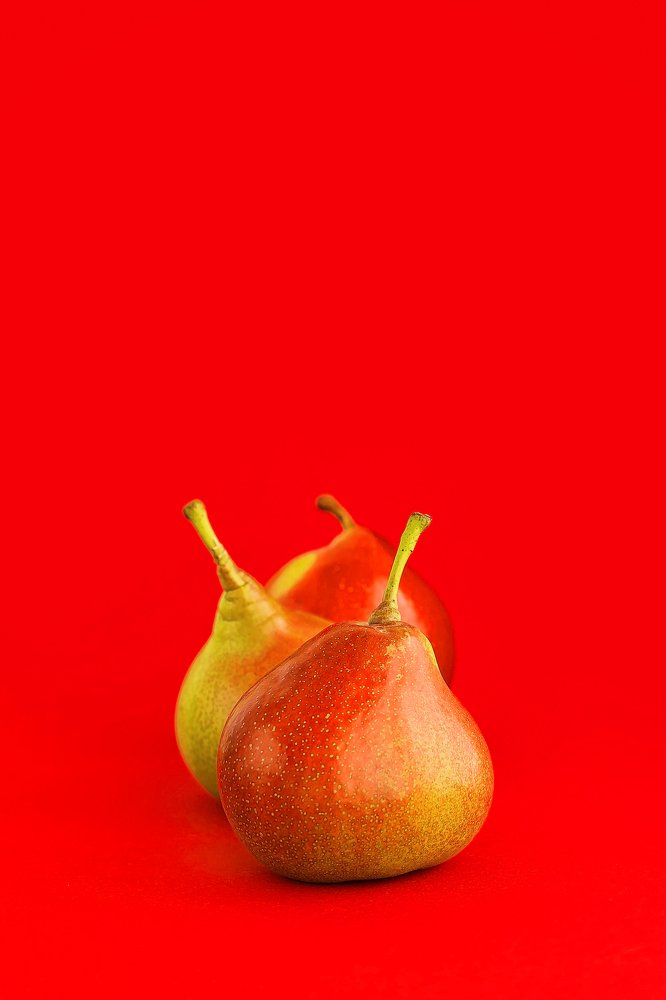 Photograph by Ira Shpiller