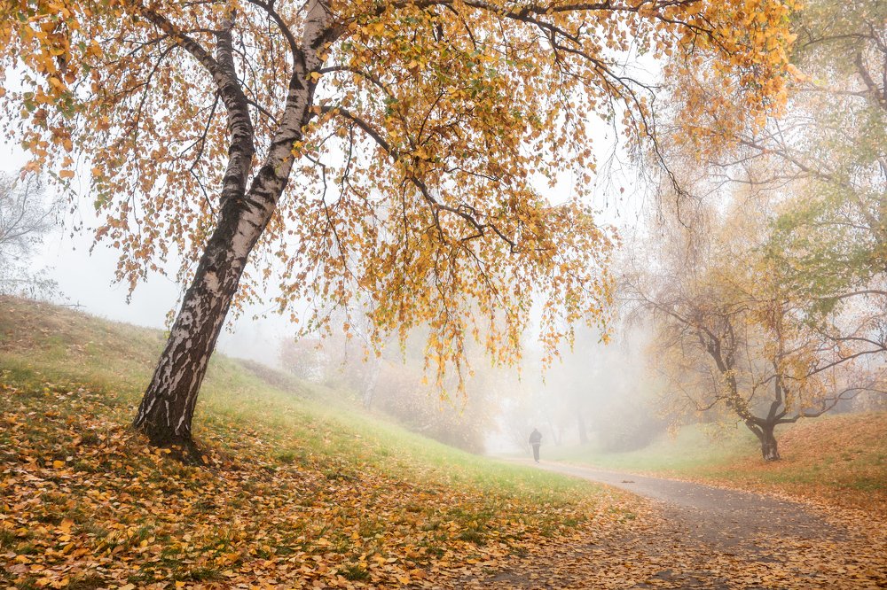 Photograph by Aнтон Кононов