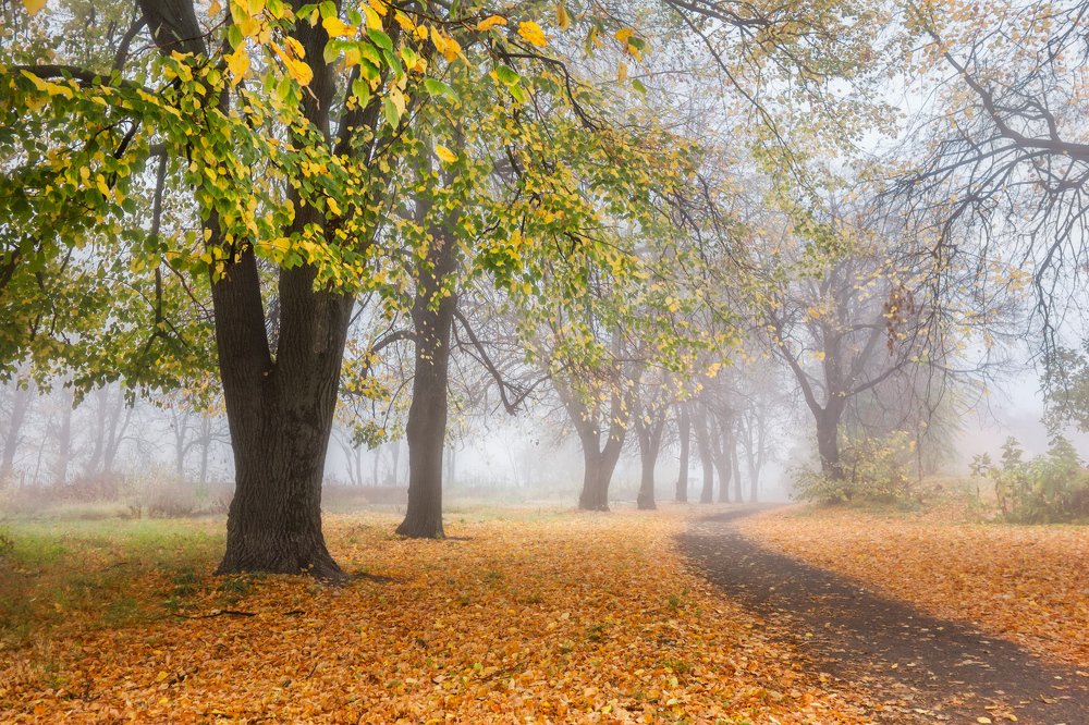 Photograph by Aнтон Кононов