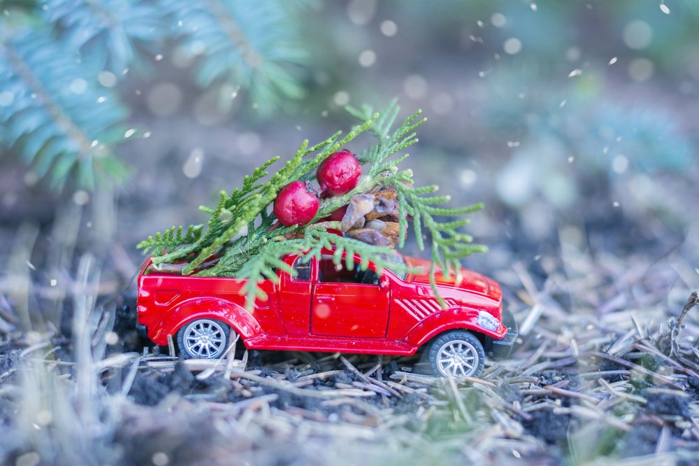 Photograph by Ira Shpiller