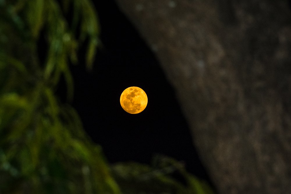 Moon through Natural Frame