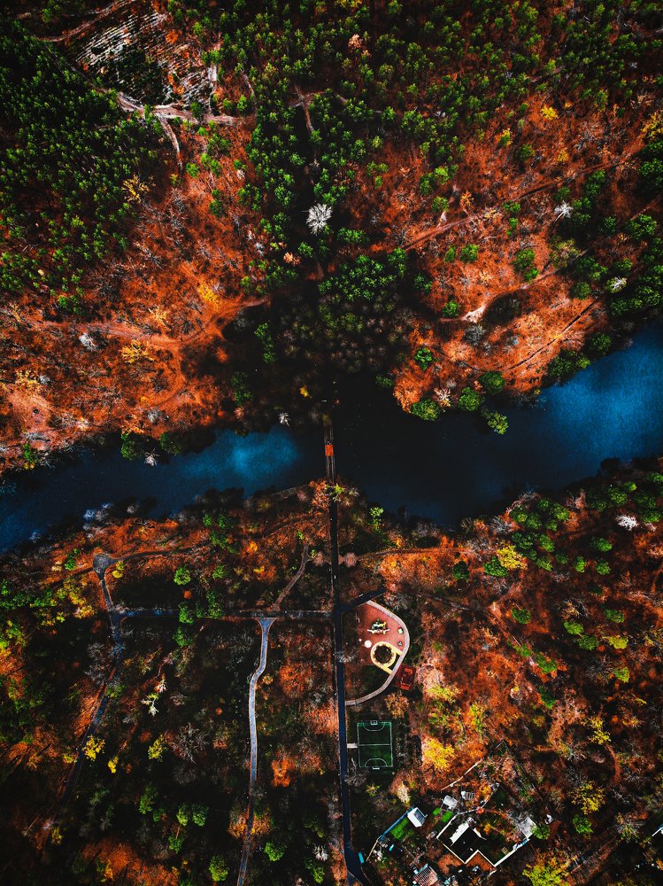 Осенний трепет