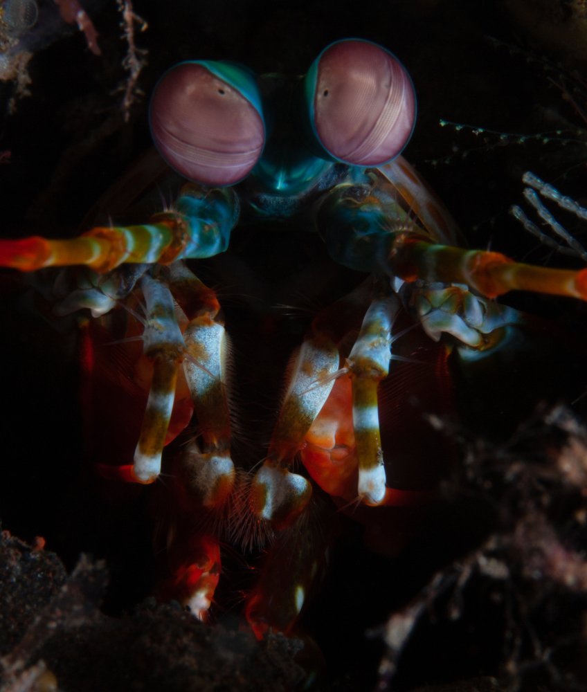 Photograph by Илья Козырев