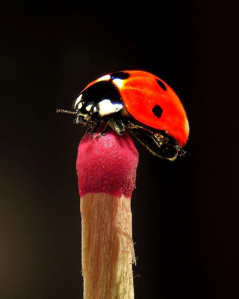 Photograph by Amin Ghaffarian