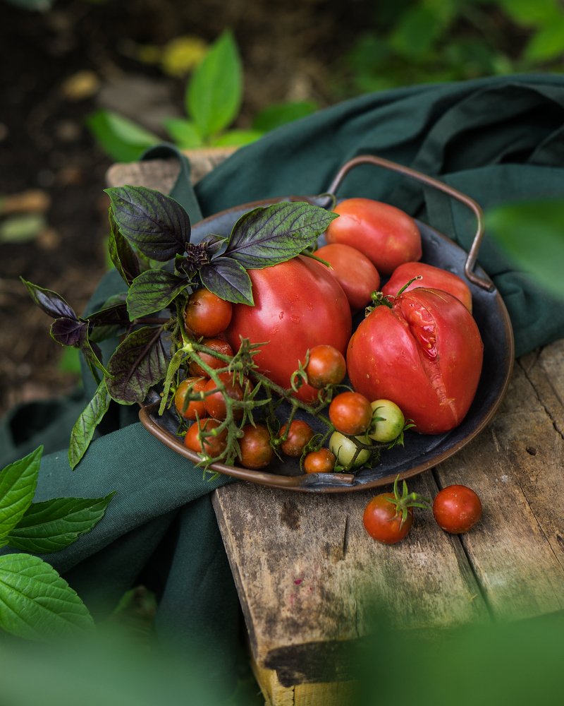 Photograph by Elena Otvodenko