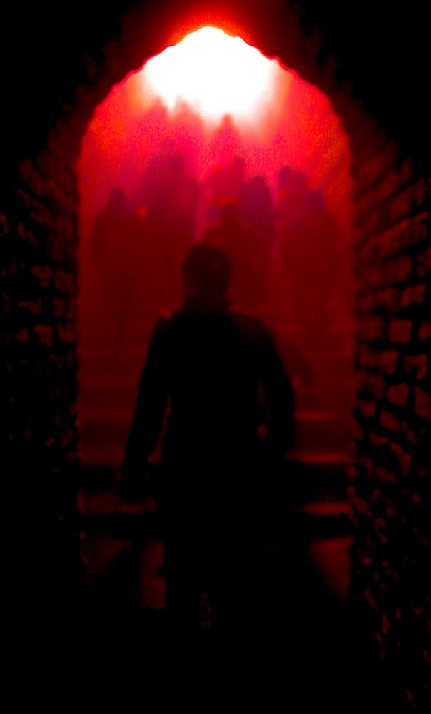 Photograph by Mohammad Mostafa Yazdanpanah