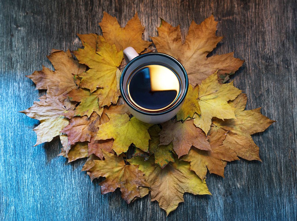 Photograph by Oleksii Chebonenko