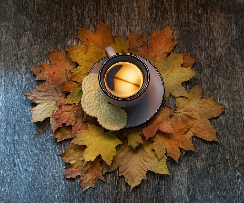 Photograph by Oleksii Chebonenko