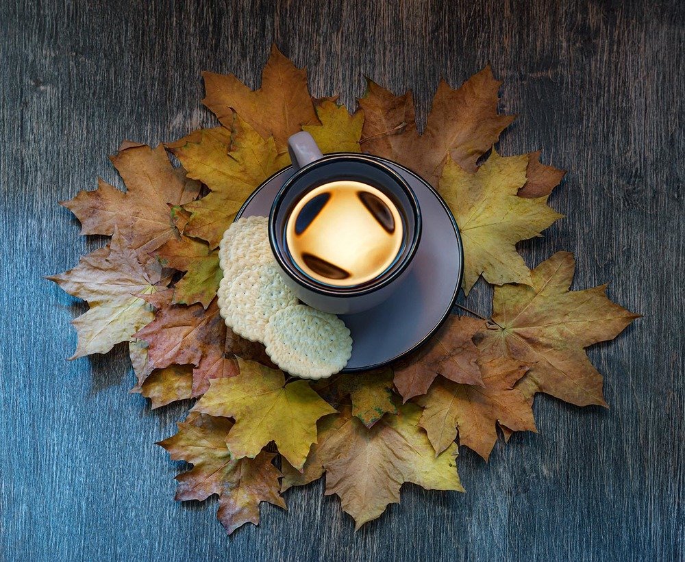 Photograph by Oleksii Chebonenko