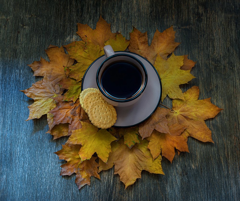 Photograph by Oleksii Chebonenko