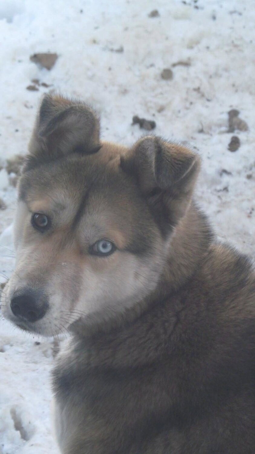 Photo #3821699