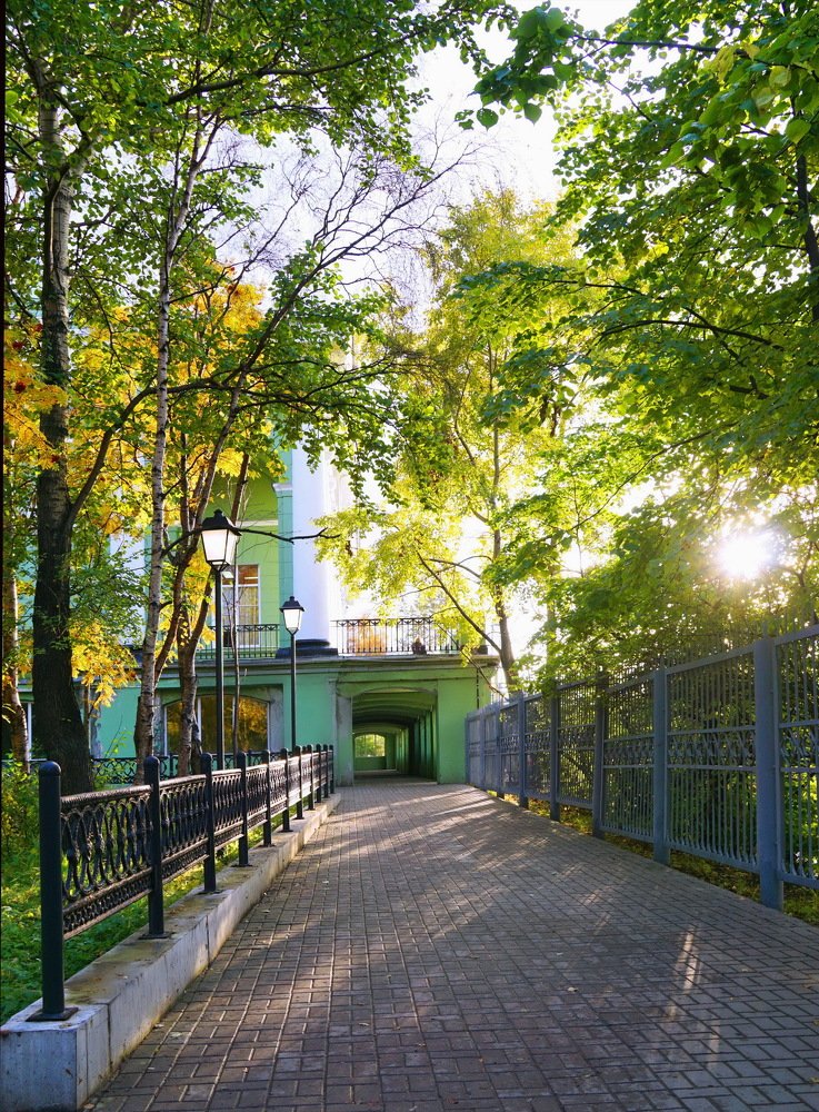 Солнечный день