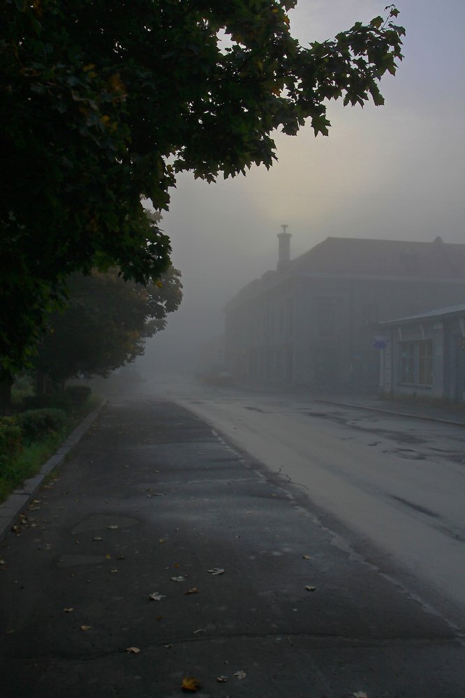 Photograph by Алексей Легконогов