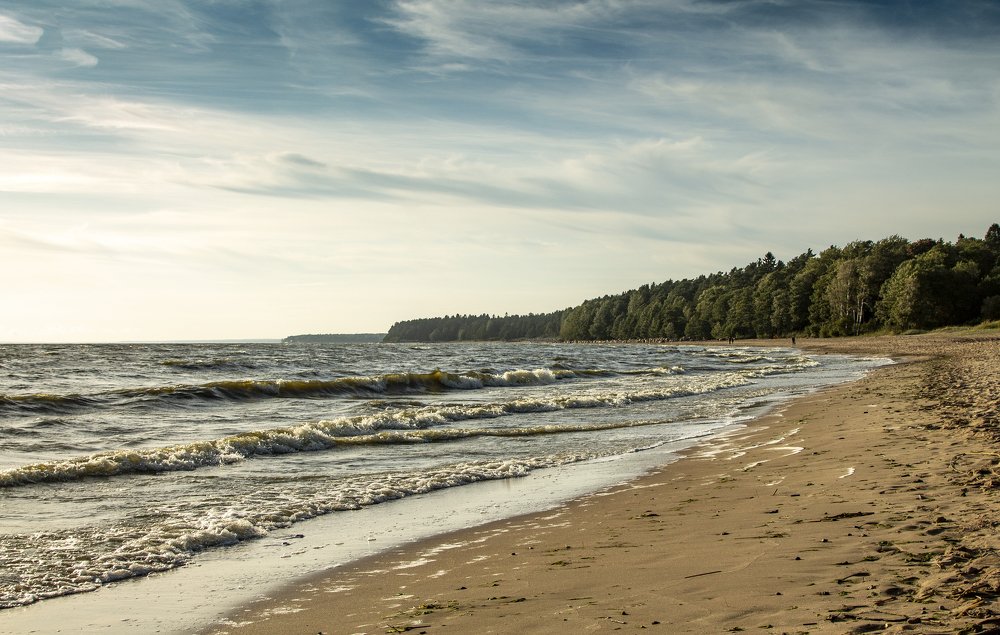 Photograph by Николай Ефимов