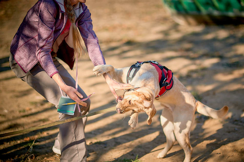 Photograph by Стас Григорьев